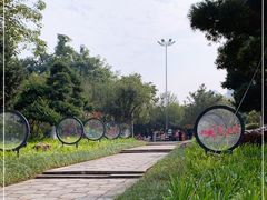 -名树园