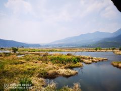 -腾冲北海湿地