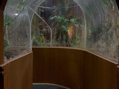 -帕帕拉兹宠物(亚洲旗舰店)