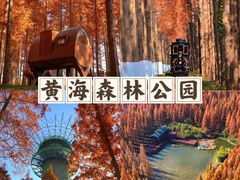 -黄海国家森林公园