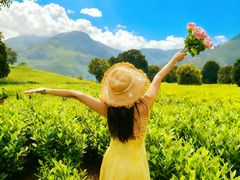 -帐篷客·溪龙茶谷度假酒店