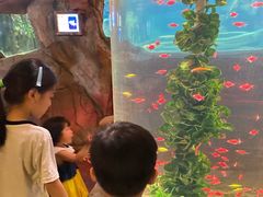 -长鹿旅游休博园