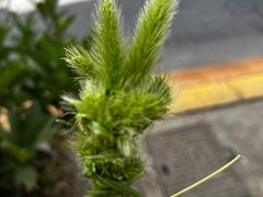 -螺世纪螺蛳粉·桂味小排档(裕德店)