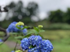 -保利石象湖景区