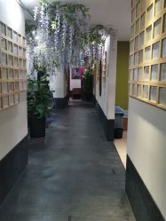-盘子女人坊生日照·摄影馆(华强店)