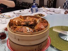 -黄记大闸蟹专卖店·活蟹·醉蟹