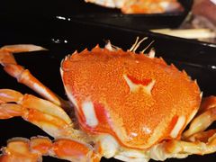 -1516串串香·自助火锅(新华大街店)