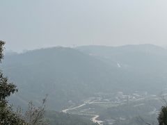 -桃花岭景区
