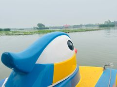 -白洋淀景区