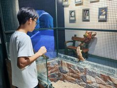 -上海大自然野生昆虫馆(东方明珠·爬宠昆虫探索中心)