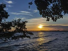 -宝安西湾红树林湿地公园