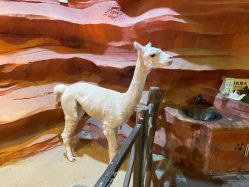 -酷嗒动物文化乐园(cutezoo西溪乐天城店)