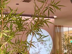 -绿茶餐厅(淮安吾悦广场店)