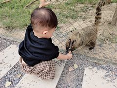 -合肥滨湖国家森林公园