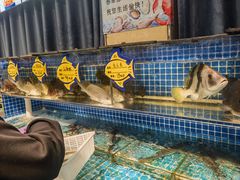 -韩记海鲜饺子旗舰店(红海新区店)