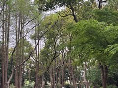 -浙江西子宾馆·牡丹厅