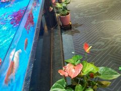 景观位-眉州东坡(清河万象汇店)