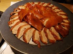 -守柴炉烤鸭(科华中路王府井店)