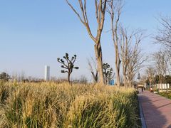 -上海山野camping·户外天幕烧烤·团建拓展营地