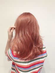 -可可丽舍