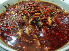 麻辣黑鱼-汉水缘鲜鱼庄(黄雁村店)