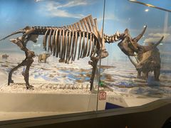 -国家自然博物馆