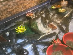 -余师傅鱼生王