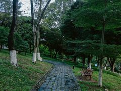 -东莞植物园