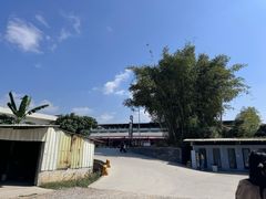 -官塘兄弟·潮汕牛肉店(官塘总店)