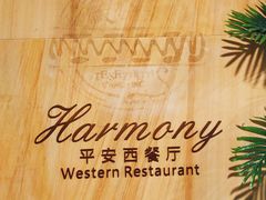 -亿民平安国际大酒店西餐厅(彩田北路店)