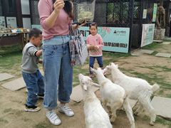 -太阳岛度假酒店