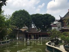 -碧江金楼