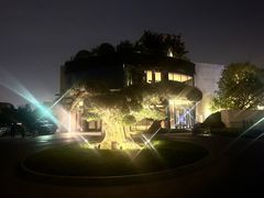 -阿纳迪酒店·秘境西餐厅