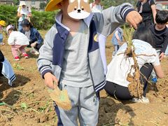 -尼恩博顿幼儿园(两江新区园)