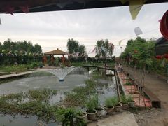 -同銮特种养殖场·龙虾垂钓