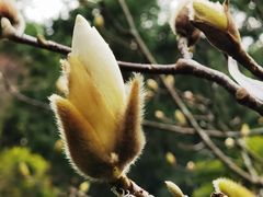 -深圳国际园林花卉博览园