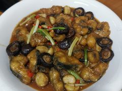 鳗鱼-杨厝六十六农庄农舍(杨厝路店)
