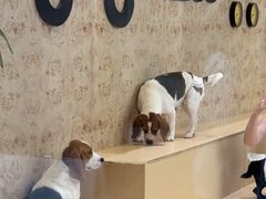 -Nana And Her Friends Restaurant 娜娜家(小寨原力场店)