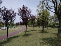 -两河城市森林公园