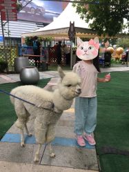 -萌宠亲子动物乐园(槐房万达店)