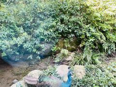 -苏州环秀晓筑养生度假村