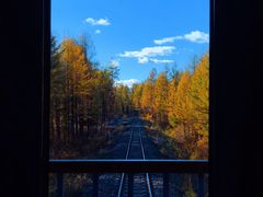 -莫尔道嘎国家森林公园