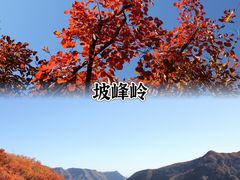 -Catail前苑(前门大街店)