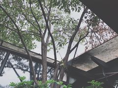 -Malena玛莲娜