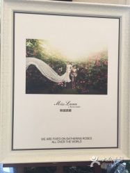 点击看大图 -韩国艺匠ARTIZ STUDIO(博览中心店)