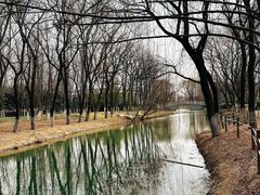 -西安浐灞国家湿地公园