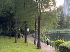 -深圳龙潭公园