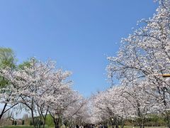 -长田漾湿地公园