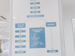 -上海大学附属上海和平眼科医院