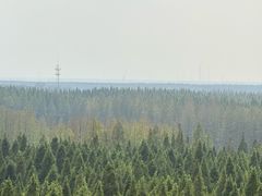 -黄海国家森林公园